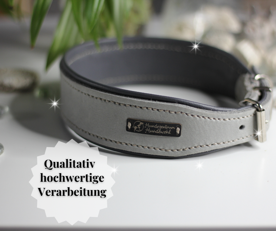 Hundewohl - Fat leather collar with nappa leather 