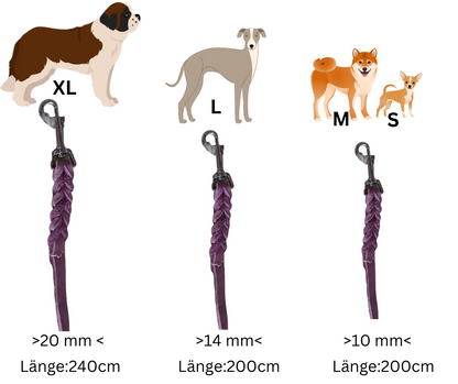 Hundewohl - Fat leather leash partially braided / stainless steel fittings 