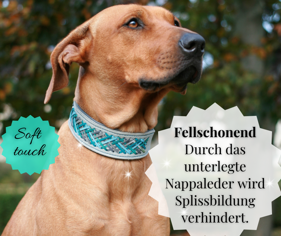 Hundewohl - Set Leash &amp; Collar with Nappa Leather and Braiding