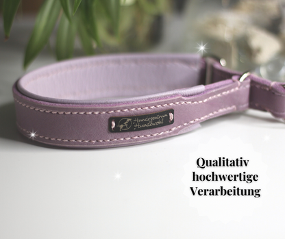 Hundewohl - Anti-pull collar with nappa leather 