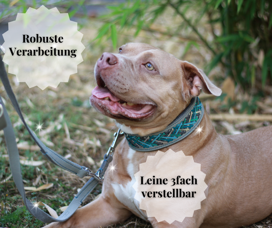 Hundewohl - Set Leine & Halsband mit Nappaleder und Aufflechtung