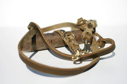 Hundewohl - Fat leather leash partially braided / brass fittings 